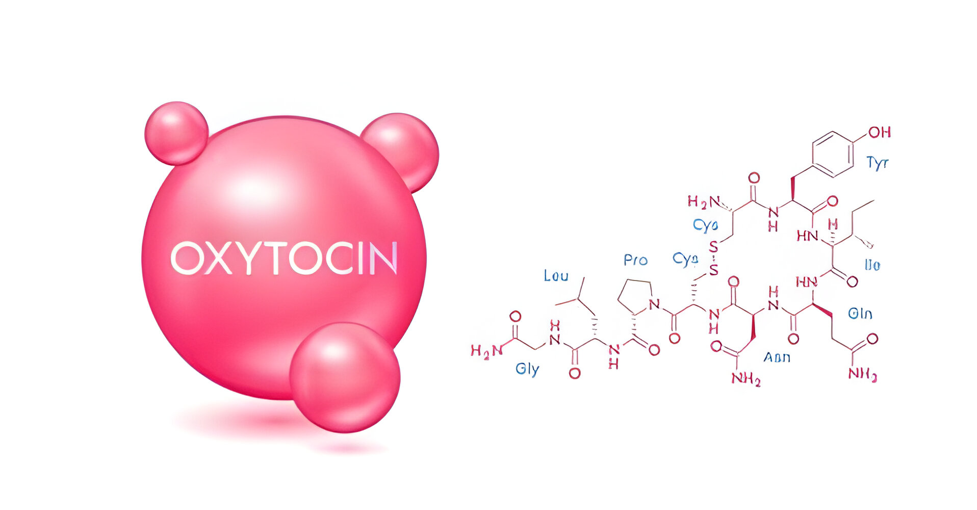 Unlocking the Feel-Good Vibes: How to Increase Oxytocin Naturally